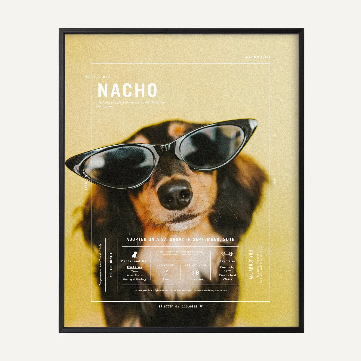 Index Pet Print