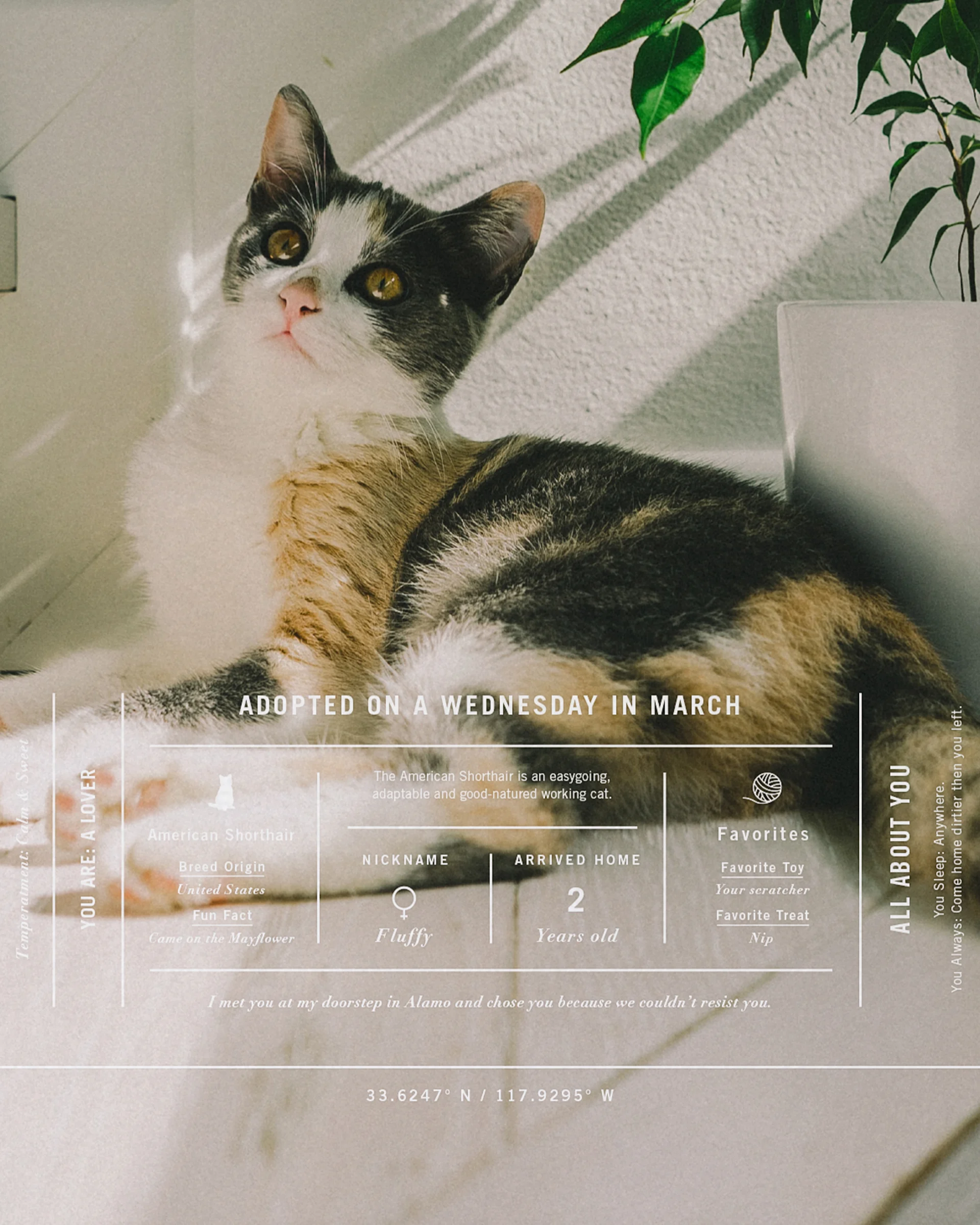 galleryproductpage V1 30