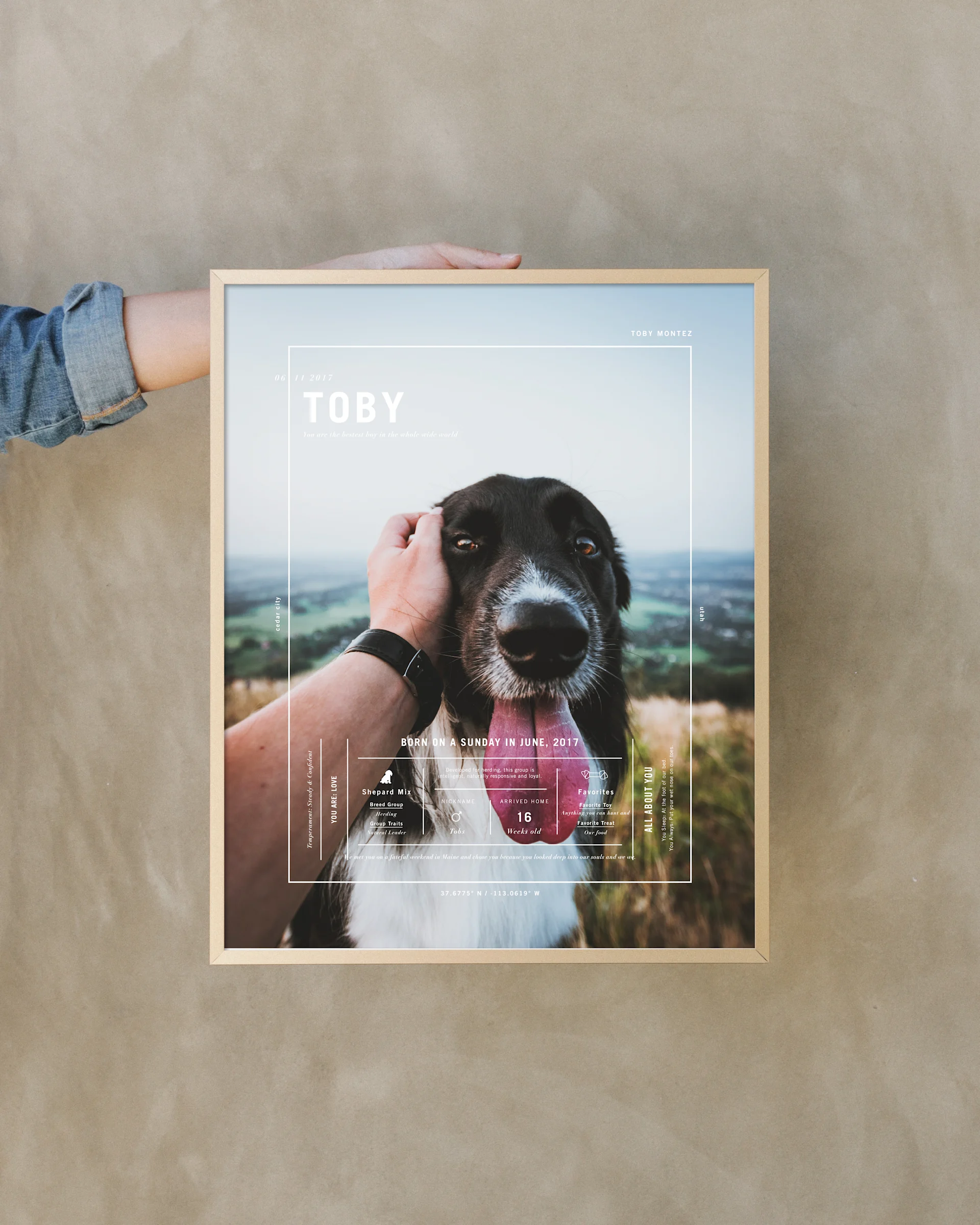 Signature Pet Prints