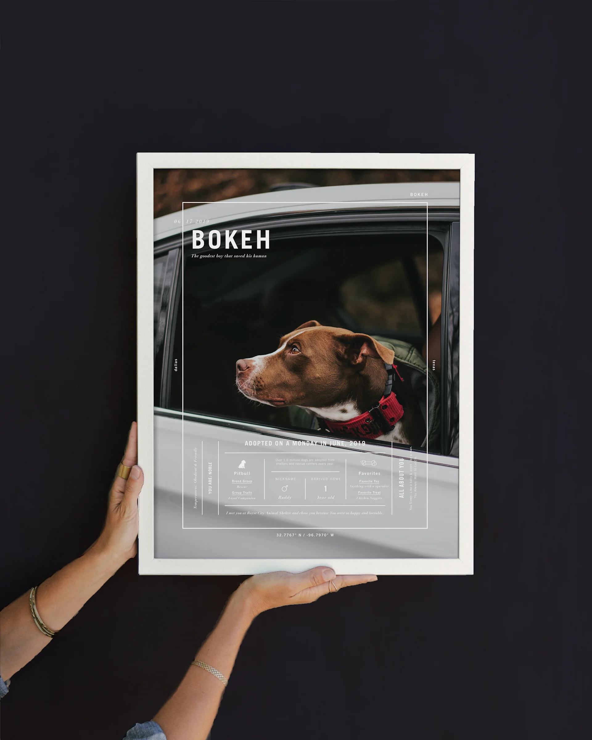 Signature Pet Prints