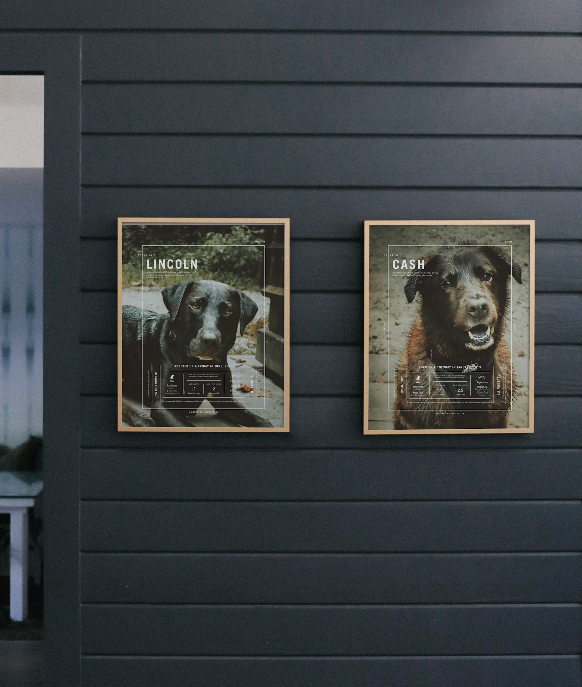 Signature Pet Prints