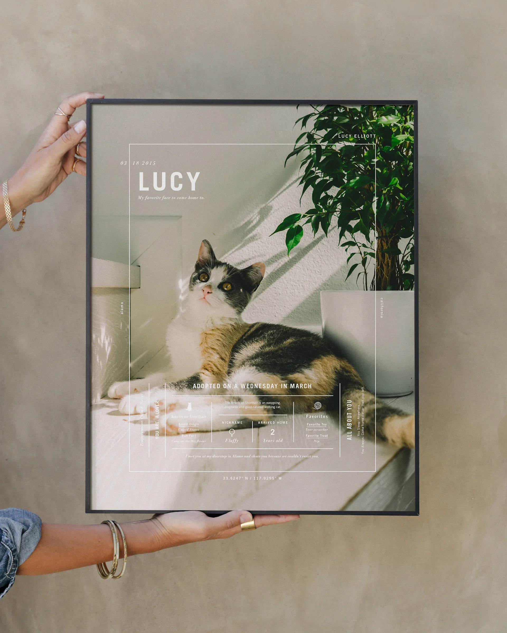 Hands hold a framed Pet print featuring a calico cat beside a houseplant.