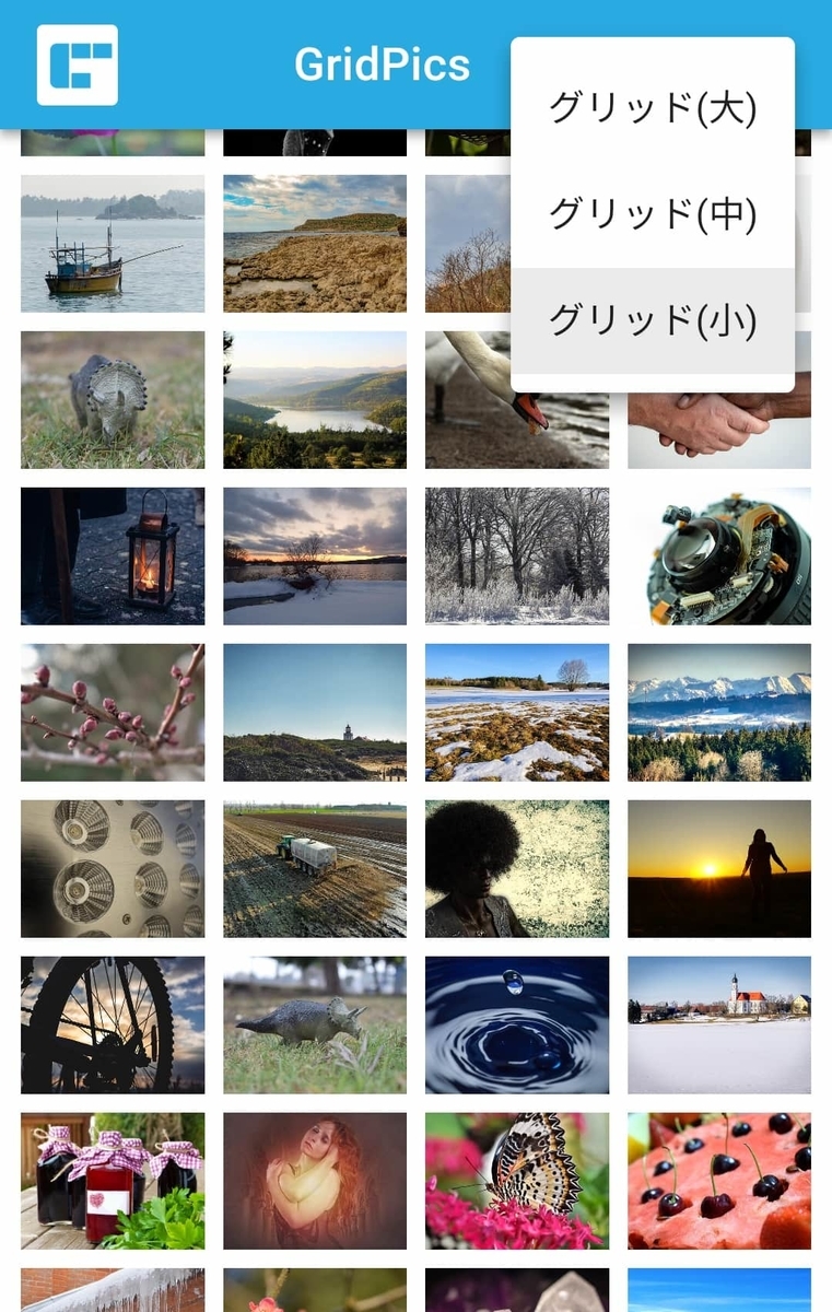 gridpics-2