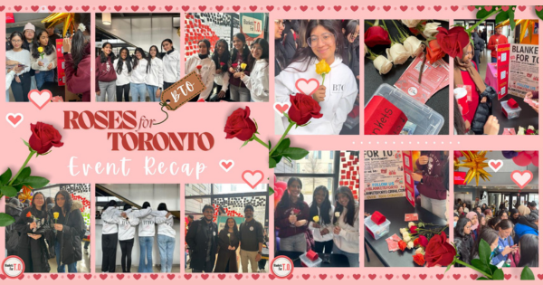 Roses for Toronto
