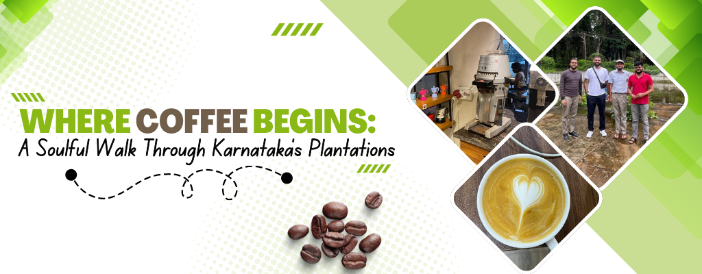 Where Coffee Begins: A Soulful Walk Through Karnataka’s Plantations