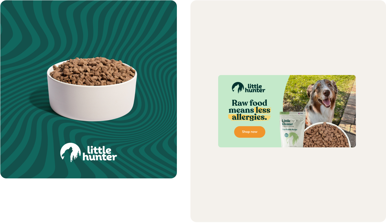 Digital ad design for dog food brand