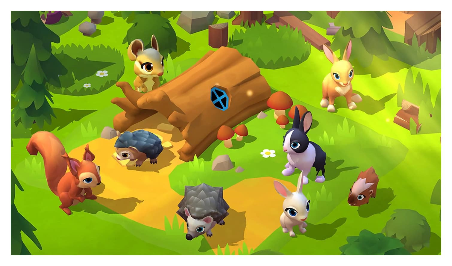 00-Animal Families-Egg-Birds (1)