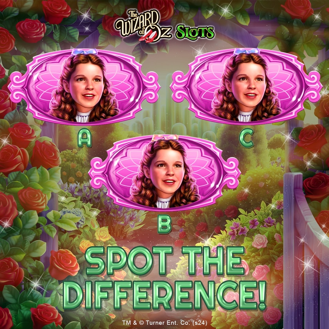 wozs0525.jpg