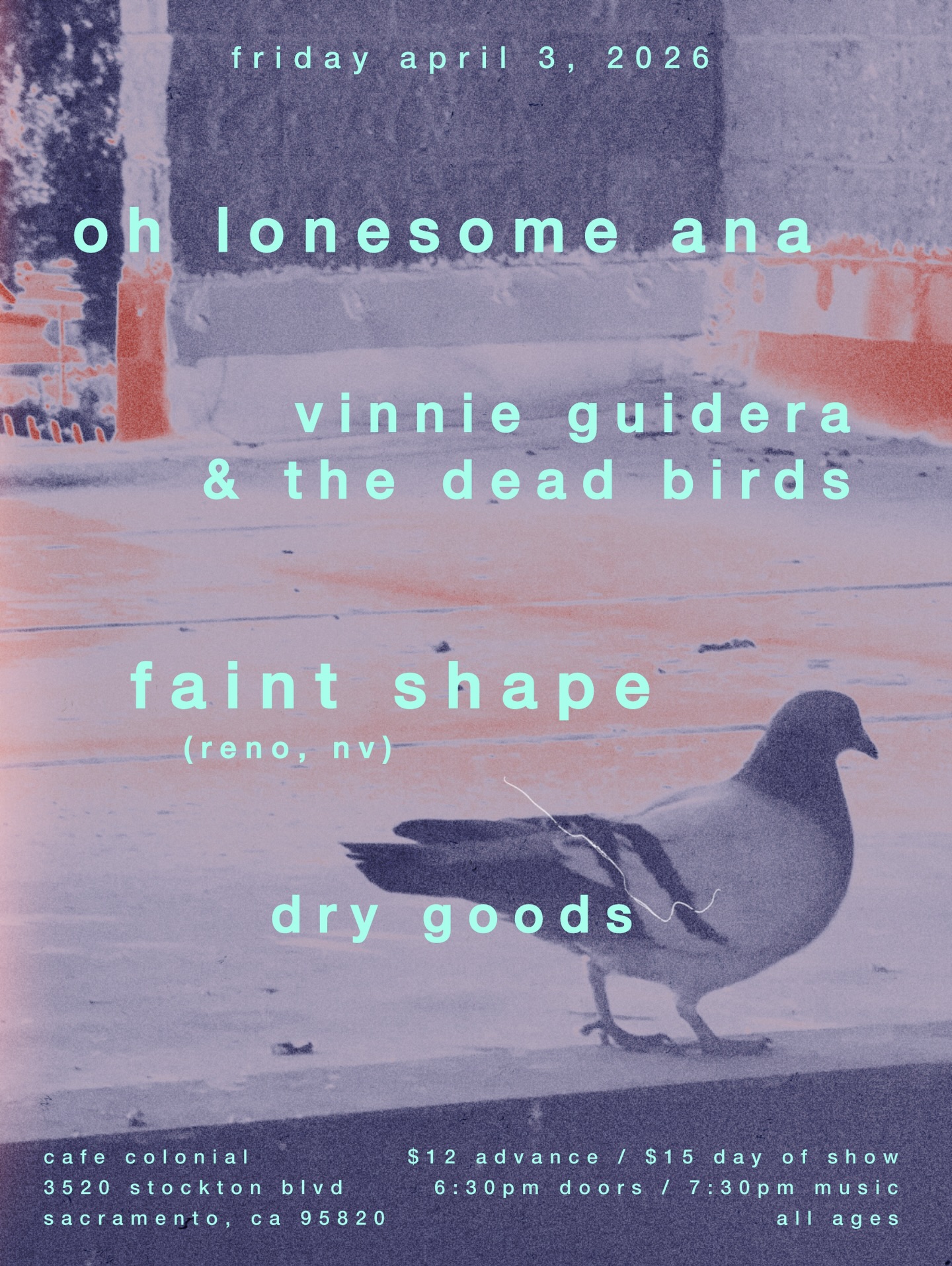 Oh Lonesome Ana, Vinnie Guidera & the Dead Birds, Faint Shape, and Dry Goods at Cafe Colonial