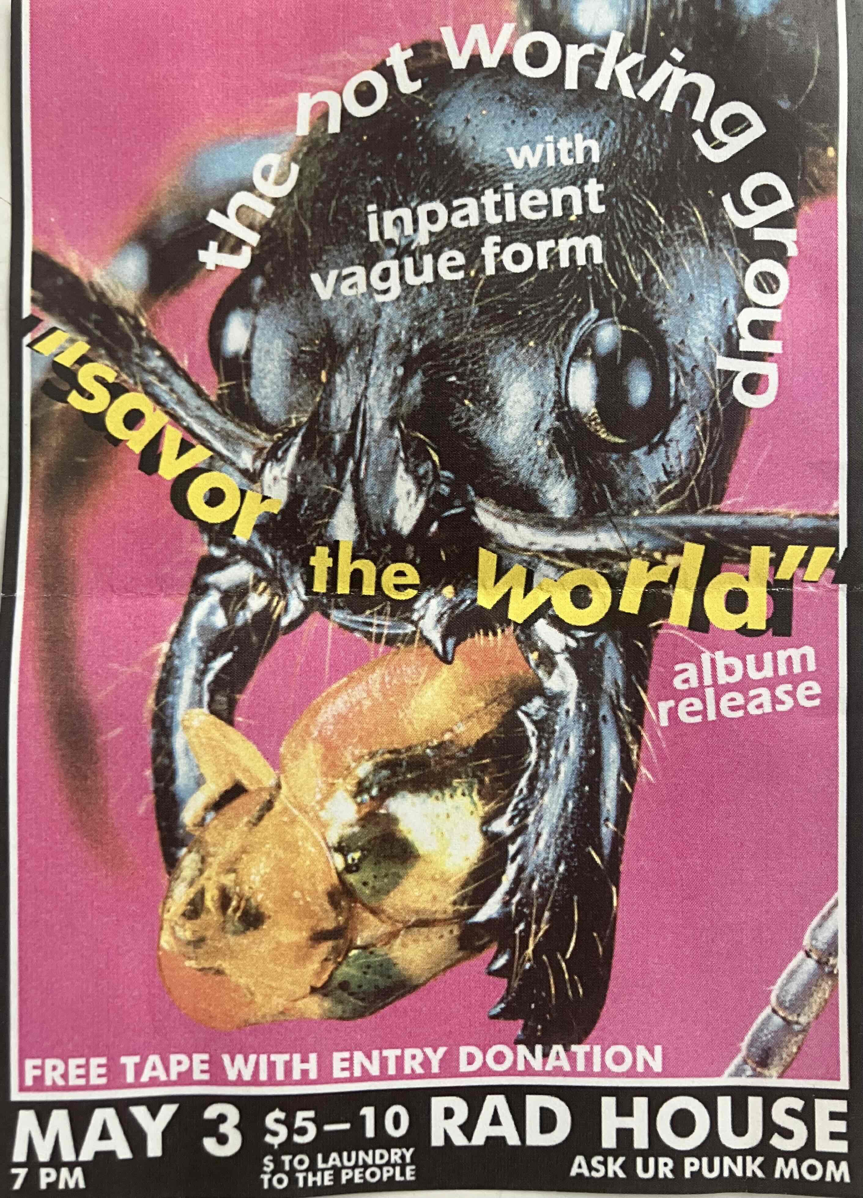 The Not Working Group, Inpatient and Vague Form at Rad House