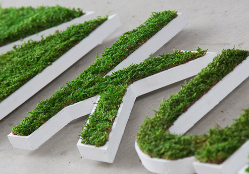 Tooltip_Letre et logo_vegetal_mousse_bois