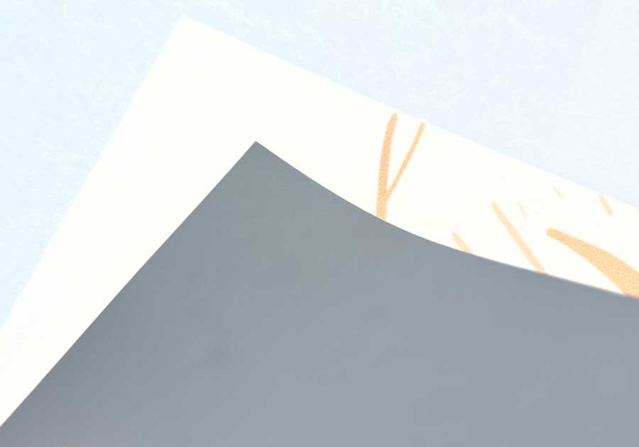 tooltip_roll-up_support_195µ PVC dos gris