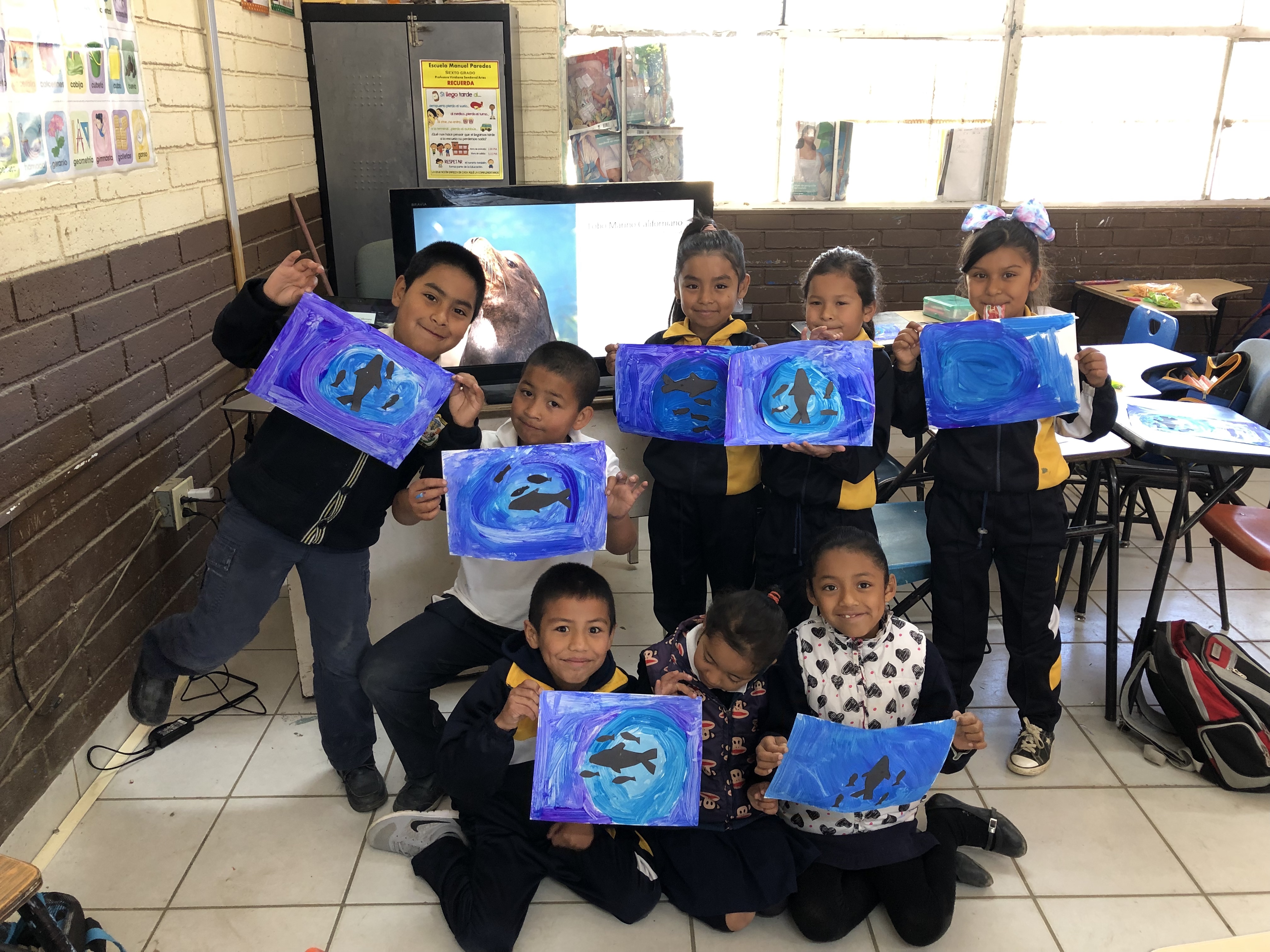 Marcela Graudins - Azul BB Kids lobo marino