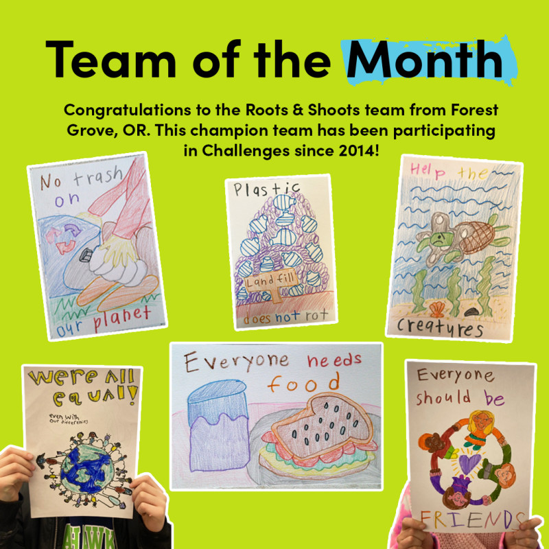 This month’s award goes to the Roots&Shoots team from Forest Grove, OR. This champion team has been participating in Challenges since 2014! Check out their awesome art for inspiration.