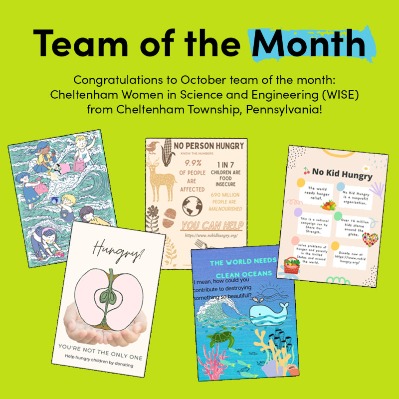 Congratulations to October Team of the Month Cheltenham Women in Science and Engineering (WISE) team from Cheltenham Township, Pennsylvania!