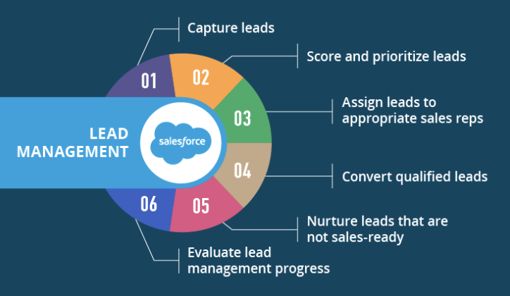 Salesforce lead management