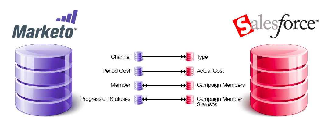 Api integration Marketo Salesforce