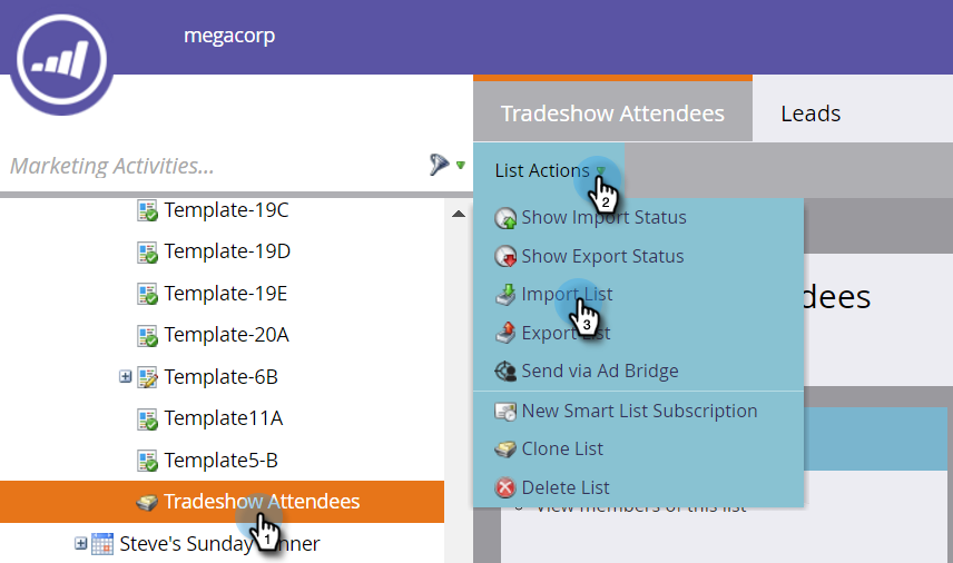 Ultimate Guide To Marketo Bulk Updates 5