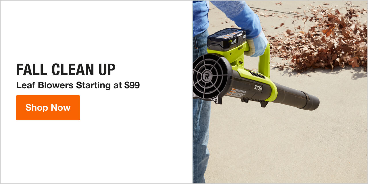 Image for FALL CLEAN UP Leaf Blowers Starting at $99