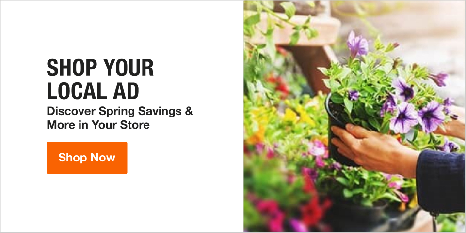 Image for SHOP YOUR LOCAL AD Discover Spring Savings & More in Your Store Shop Now
