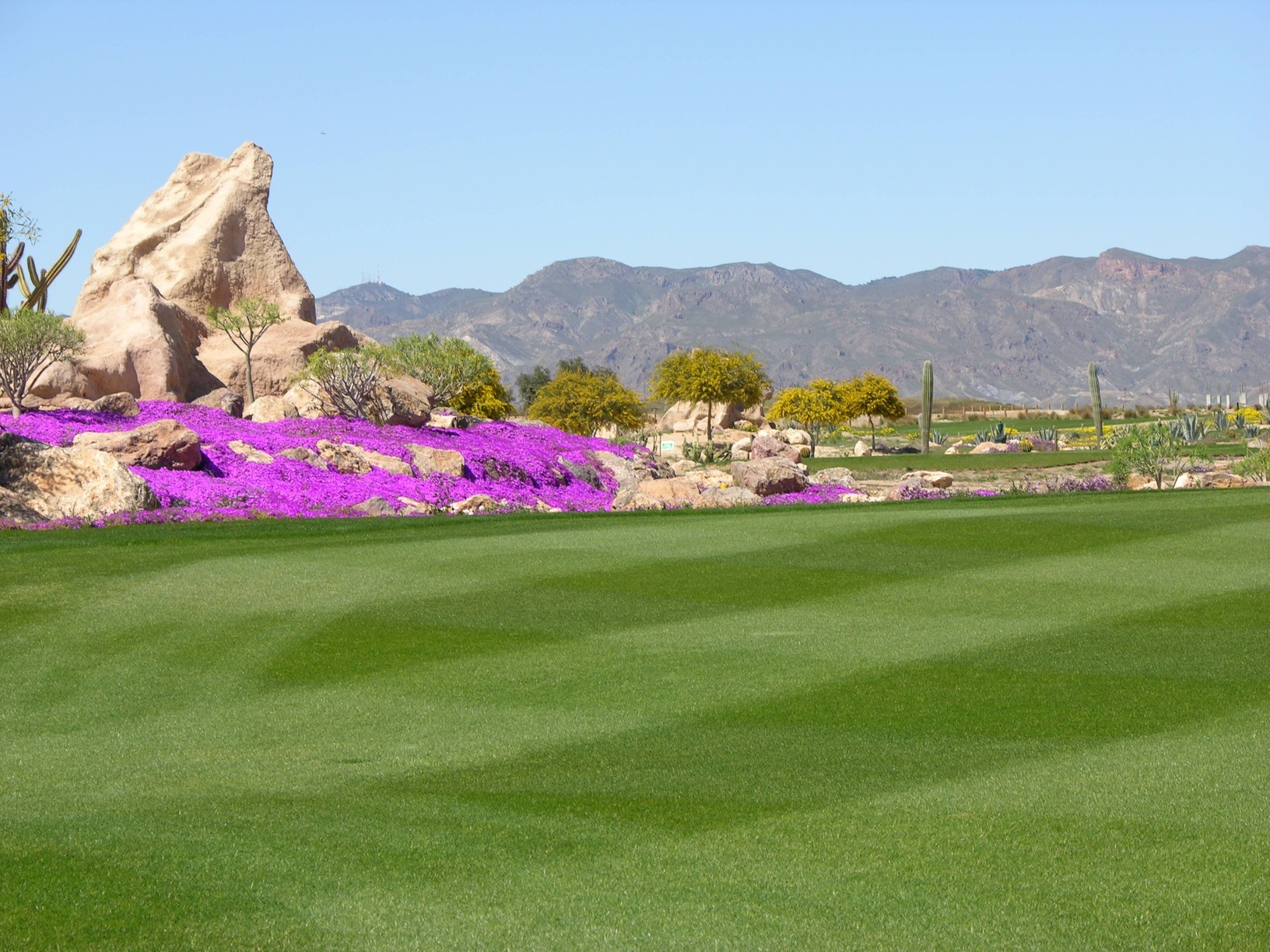 15th Fairway Flowers Golf