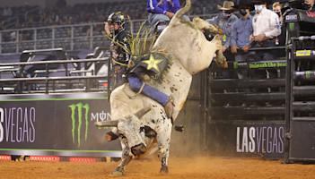 Smooth Operator takes over the lead in YETI World Champion Bull race ...