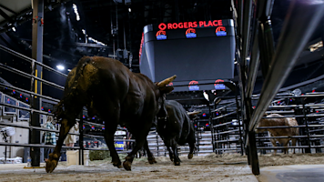 PBR Canada to host outdoor bull riding exhibition at Rogers Place in ...