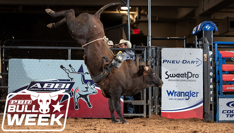 A look at American Bucking Bull Inc. PBR Professional Bull Riders