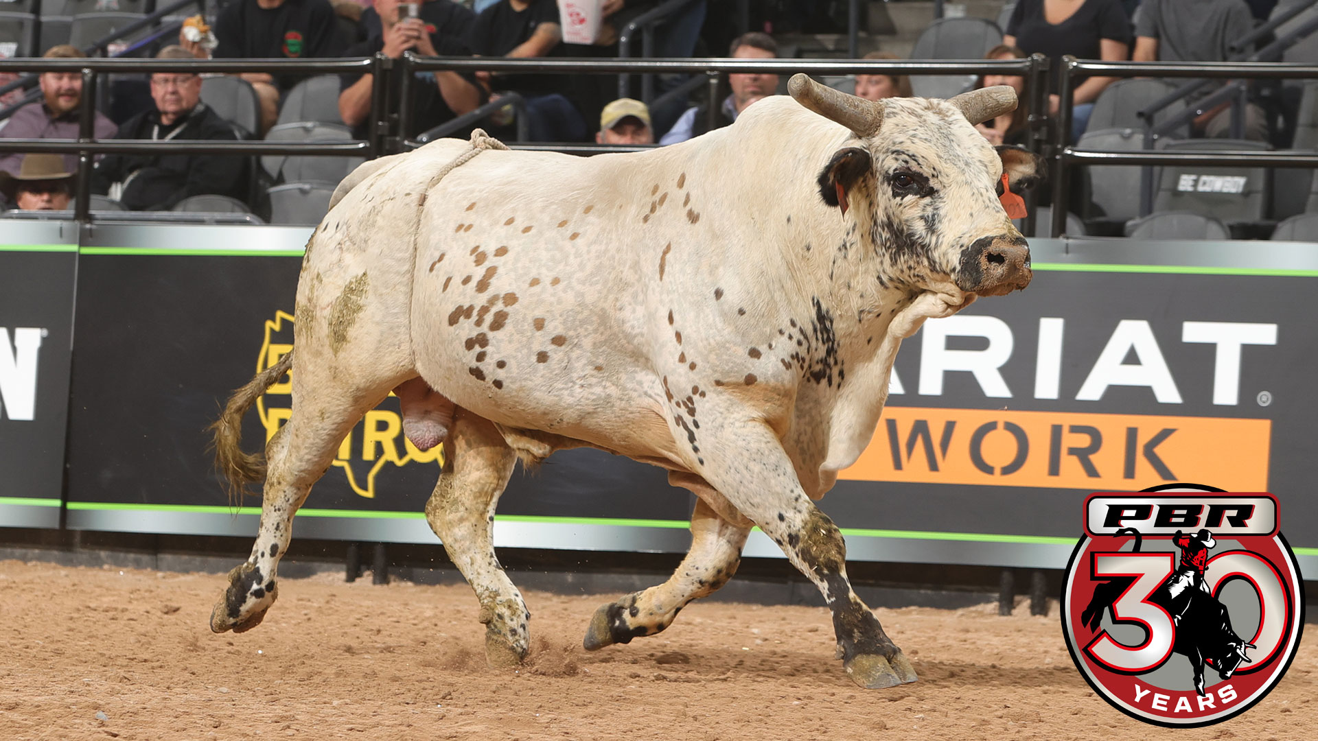 From the Vault: Smooth Operator takes his place among the rankest of all  time, PBR