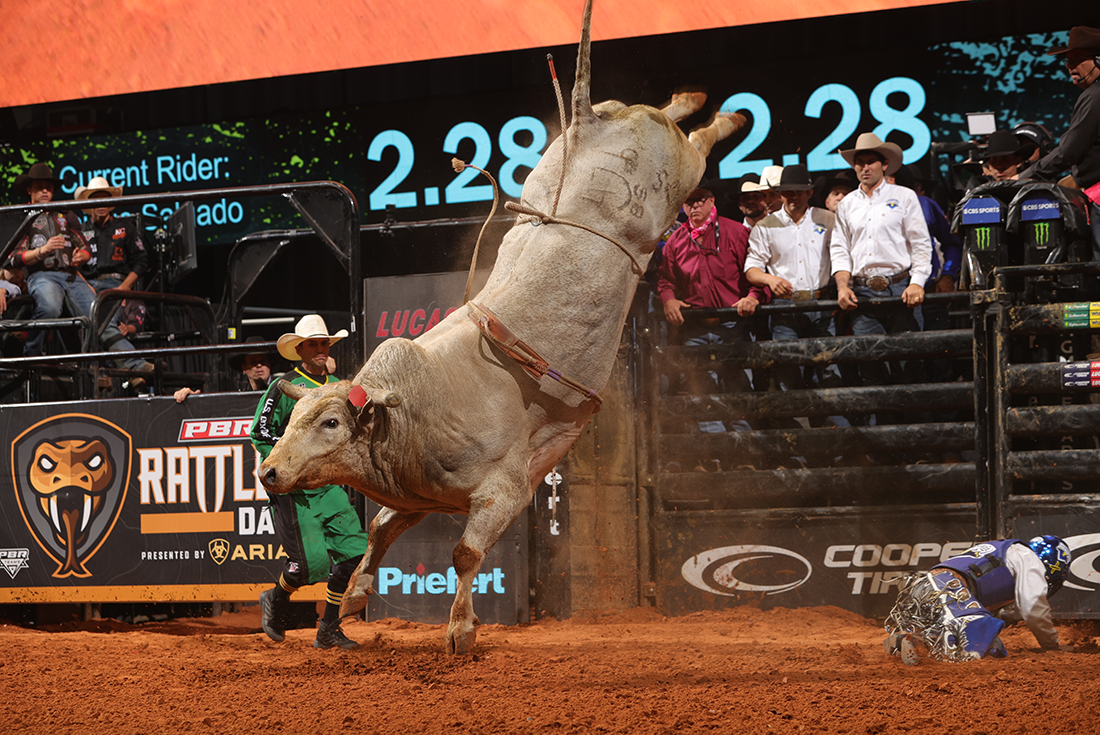 PBR Canada Signs Lammle's Western Wear as Official Western Wear Retail  Partner of the Elite Cup Series for 2022-23 Seasons — The Professional Bull  Riders