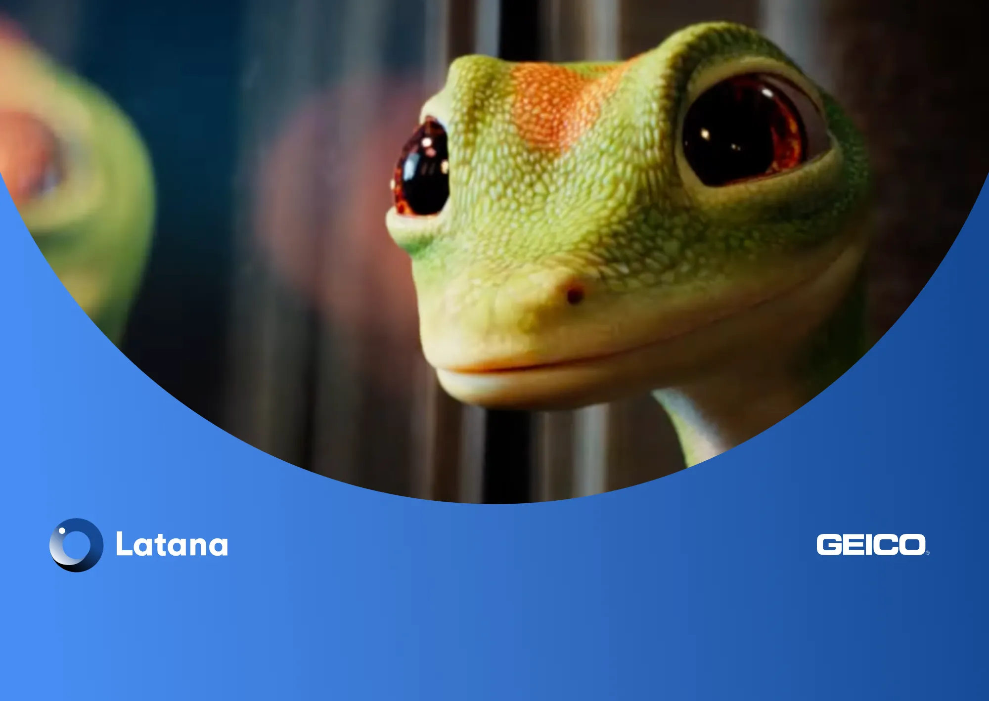 Brand Performance Insights: Geico's | Latana