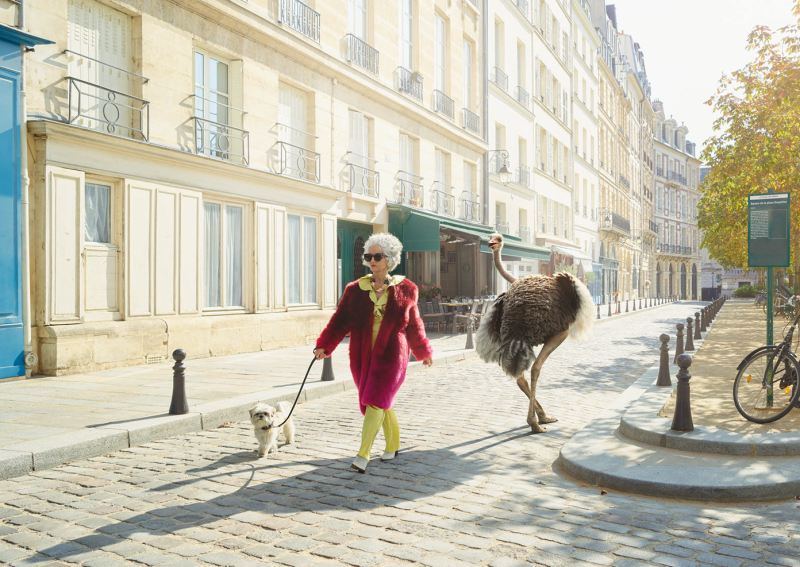 Eurostar ad with Seymour the Ostrich
