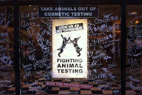 Image of a Lush window display on animal testing