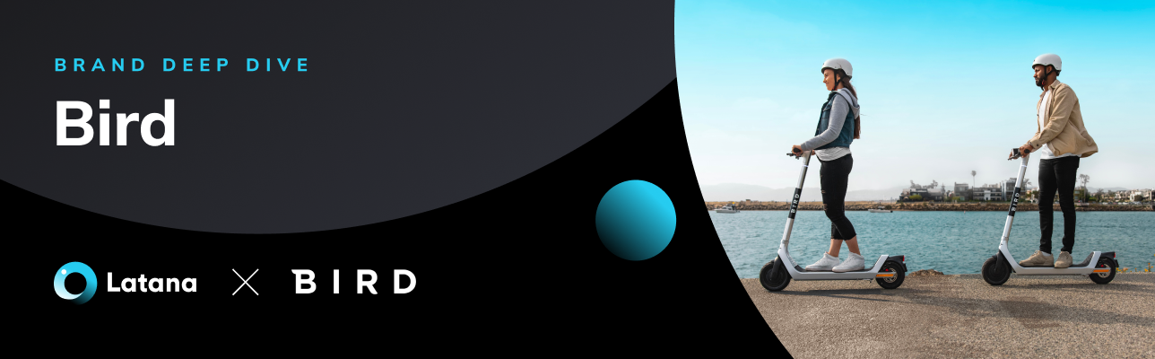 Bird Scooters Cover Image