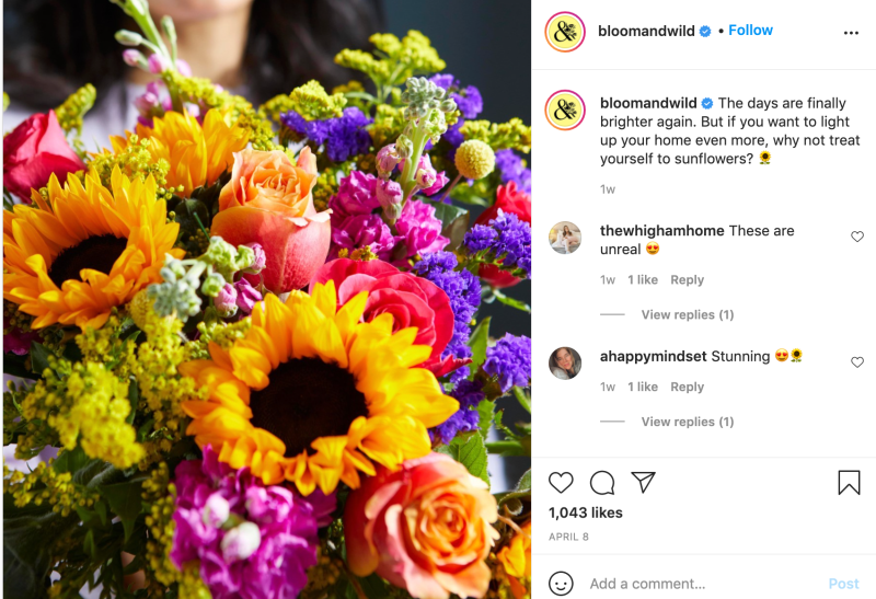 Bloom & Wild Brand Awareness Instagram