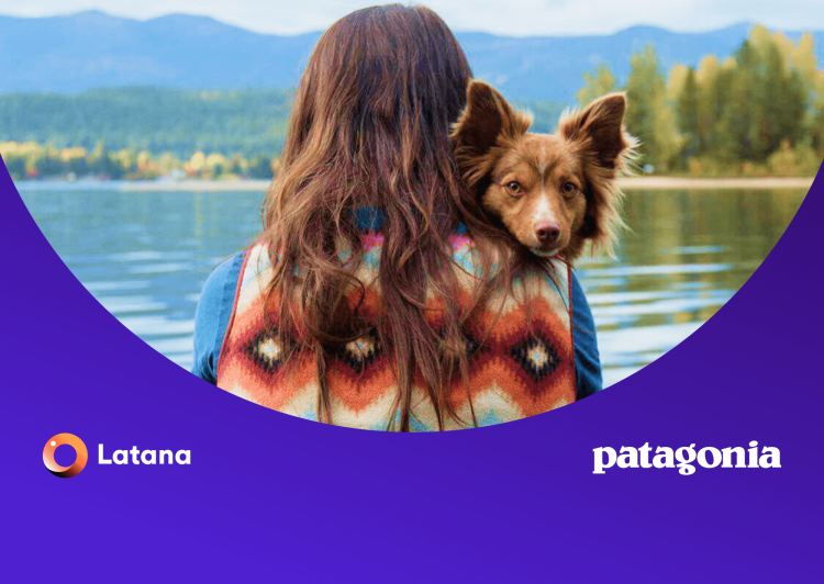Patagonia SEO