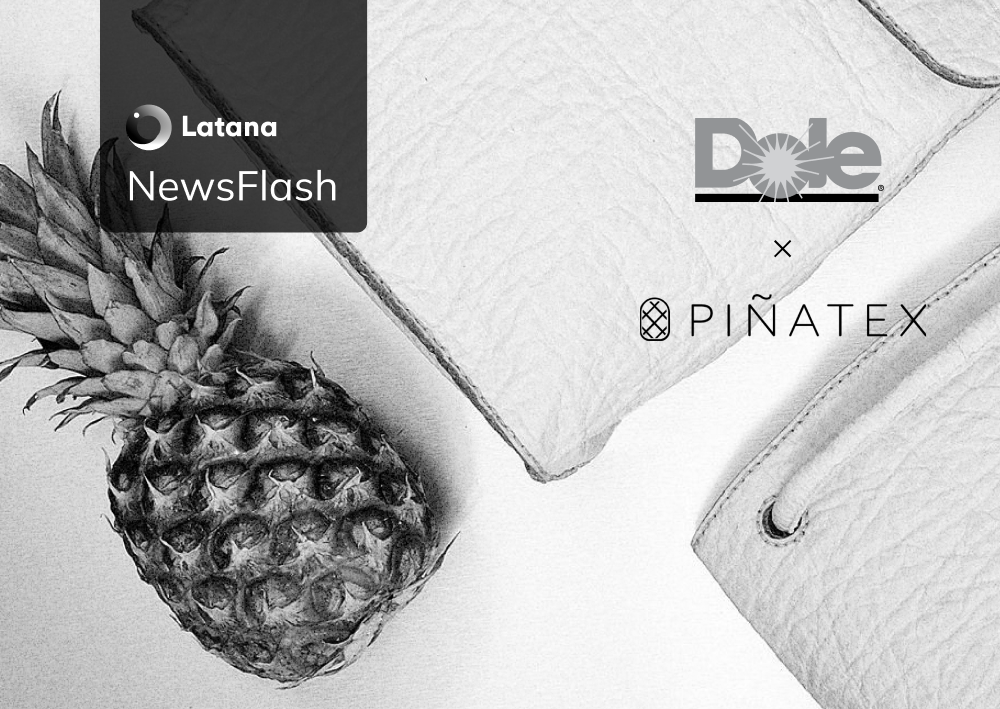 Image of a pineapple with leather goods (thumbnail) 