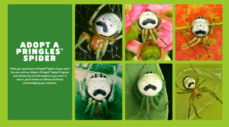 Screenshot from the Pringles Adopt A Spider campaign [Article Image]