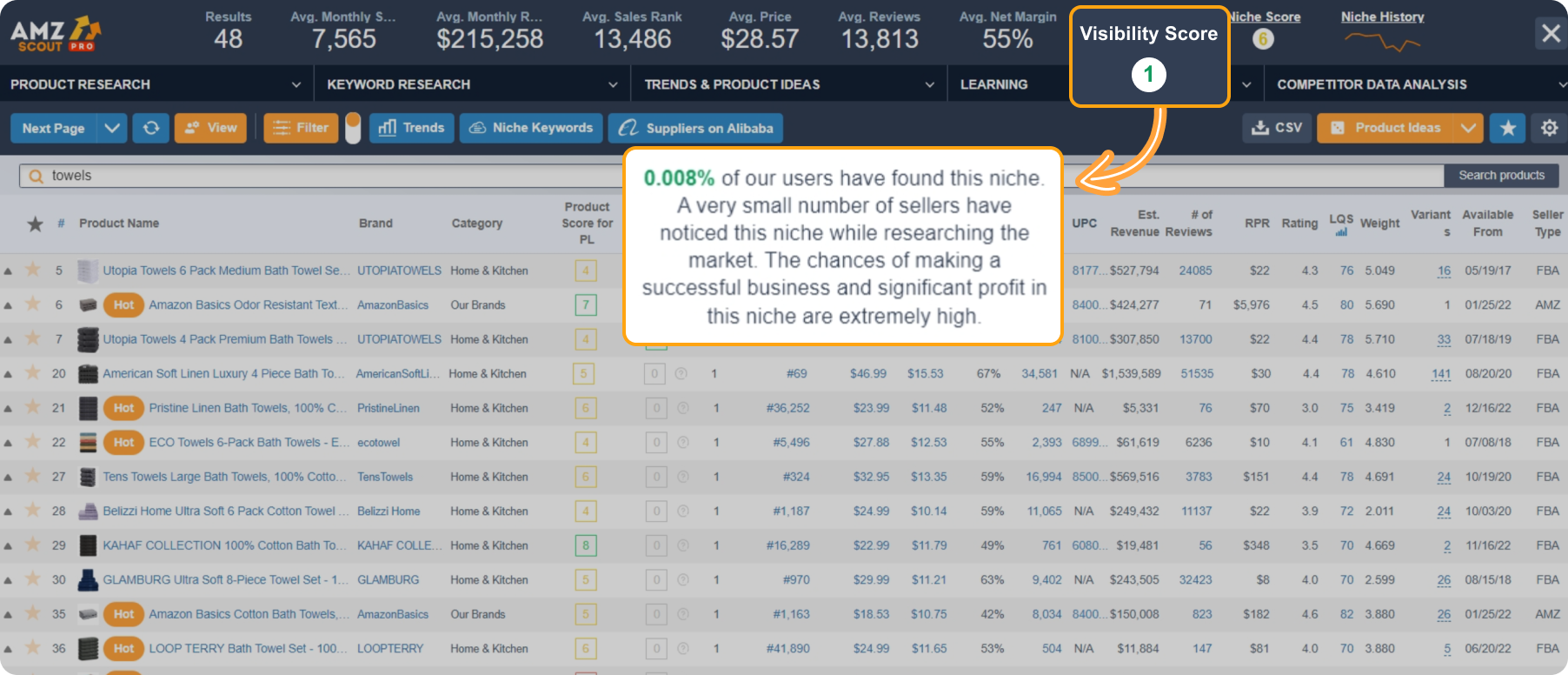 How to check Visibility Score