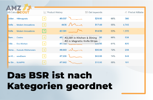 Das BSR ist nach Kategorien geordnet