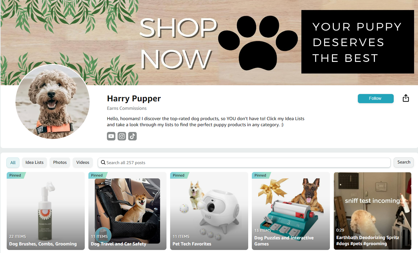Amazon Influencer Program storefront Influencer storefront example