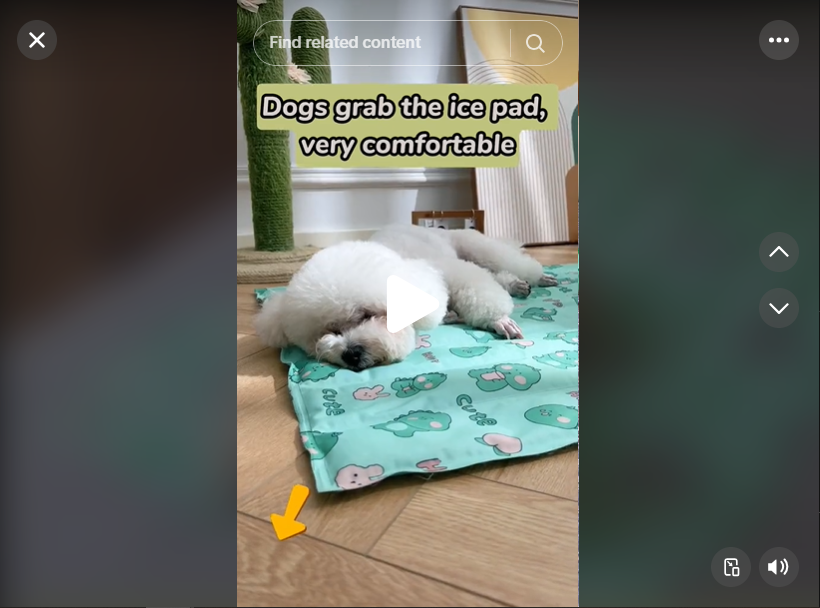 TikTok Viral: pet cooling mat