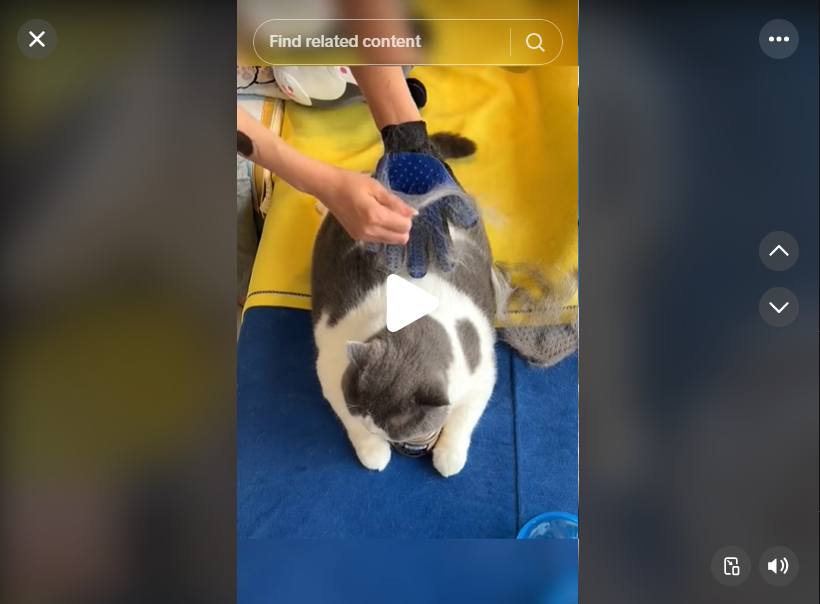TikTok Viral: pet grooming gloves TikTok Viral: pet grooming gloves