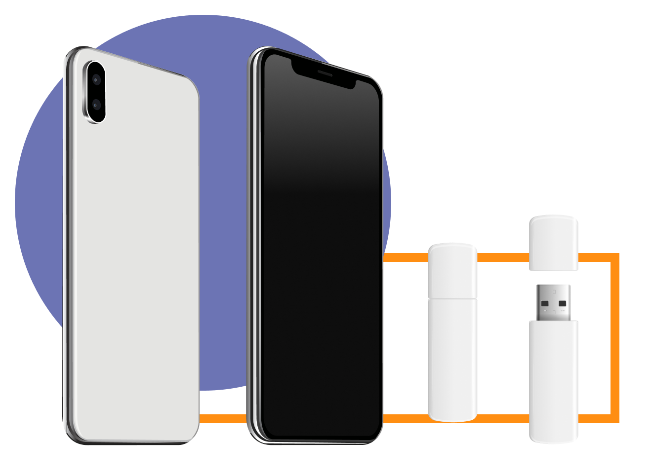 Electronics and accessories are examples of white-label products