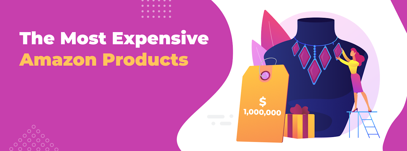 11 Most Expensive Things on Amazon