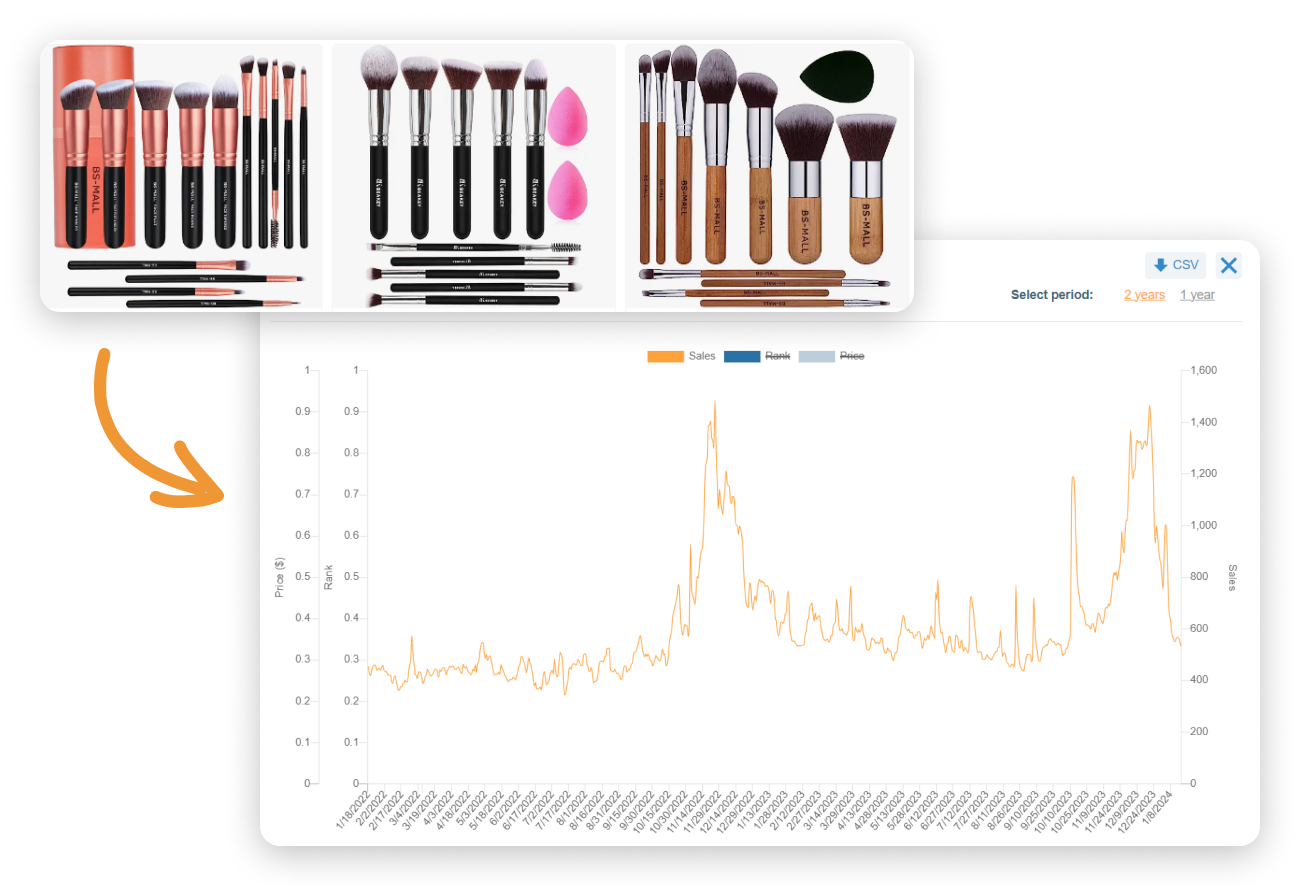 Makeup Brushes Makeup Brushes