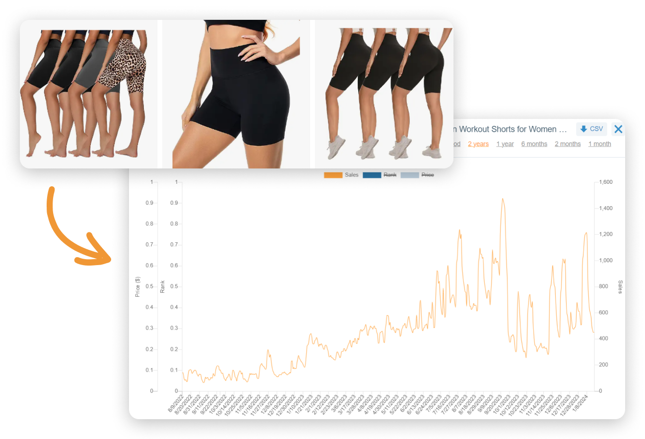 Biker Shorts for Women