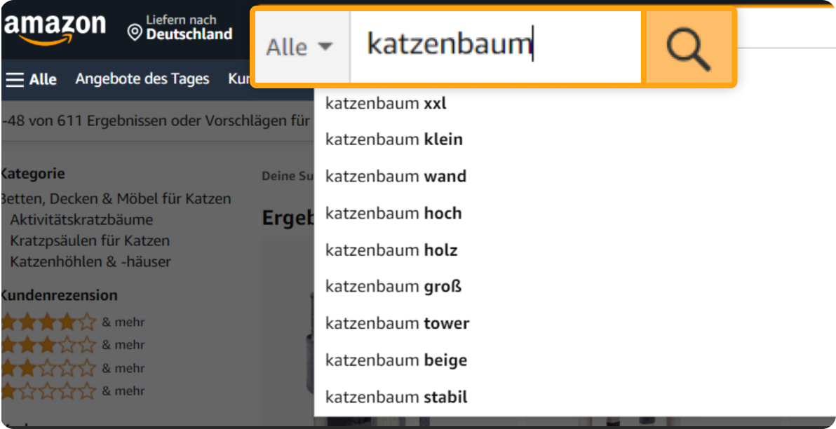 Amazon-Suchfeld
