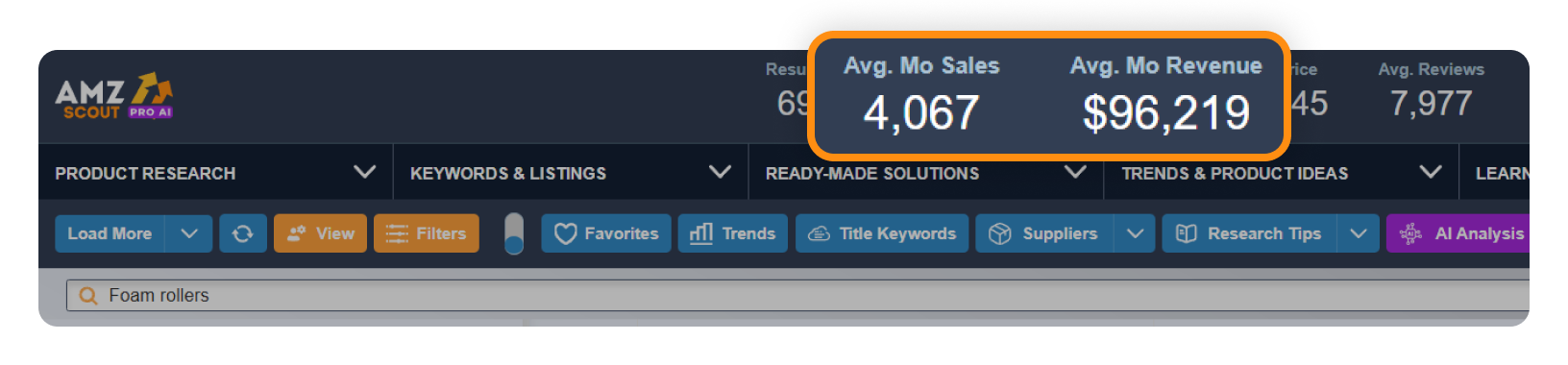 Foam Rollers Sales Data