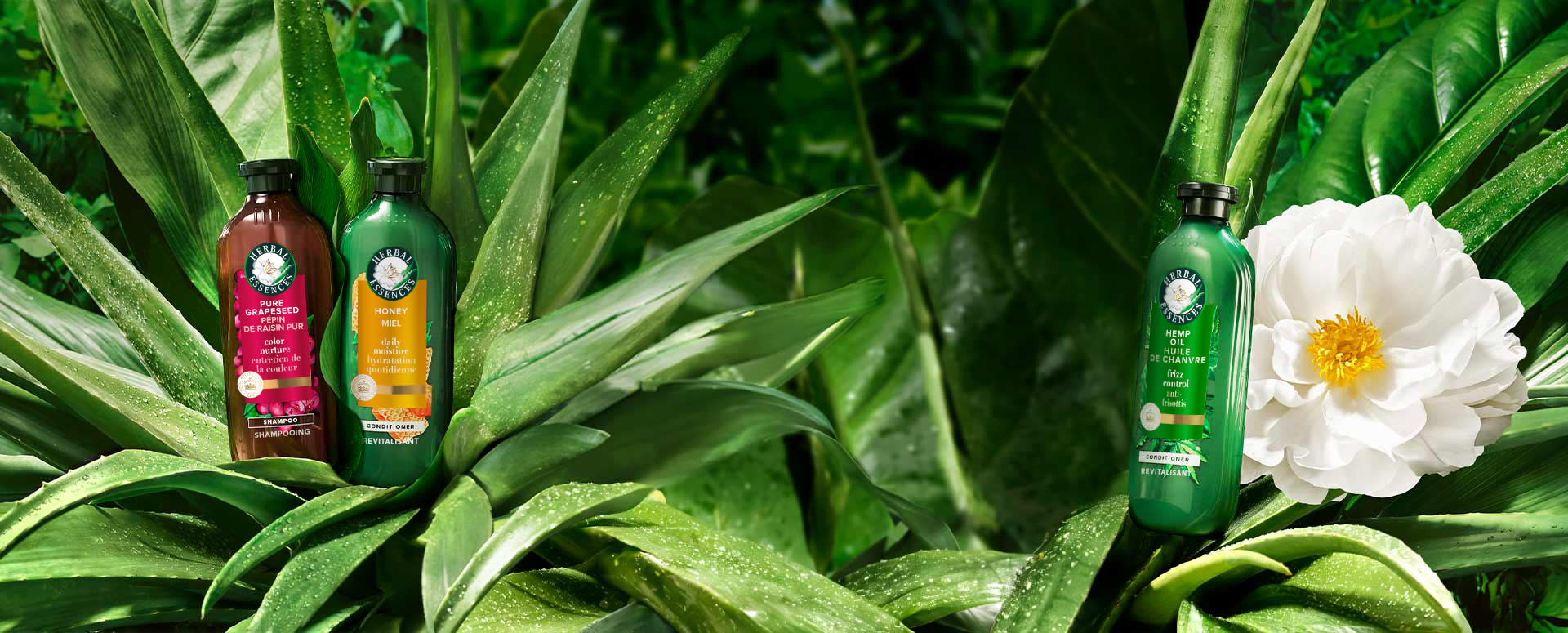 Produits Herbal Essences Bio:Renew sur un fond de feuilles